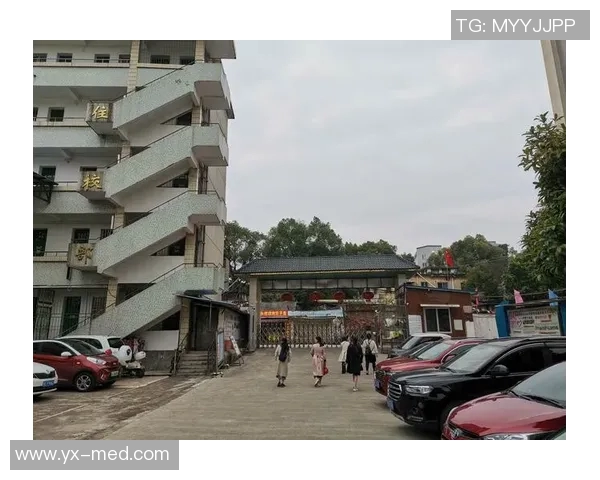 深圳排球队逆袭之路揭秘大师赛特别报道展现拼搏精神与团队力量 深圳排球队逆袭之路揭秘大师赛特别报道展现拼搏精神与团队力量