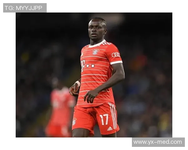 全球足球界的女明星们她们的成就与影响力揭秘