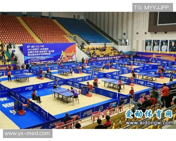 南京乒乓球队总决赛技术表现分析与未来发展展望